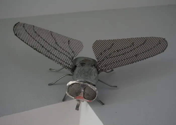 Hotel Rural 3 Cabos 3*